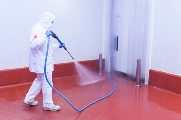 Best Concrete Surface Cleaning in Lawton, IA