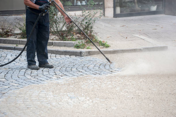 Best Fence Cleaning and Maintenance in Lawton, IA