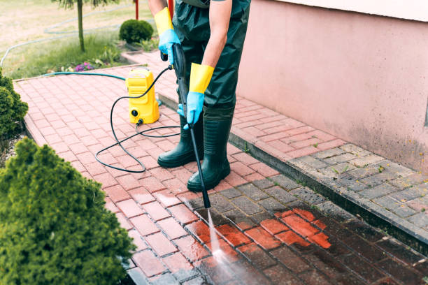 Best Vinyl Siding Pressure Washing in Lawton, IA